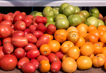 fresh picked tomatoes on table outside at farmers market