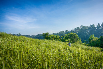 Walking on Campuhan ridge