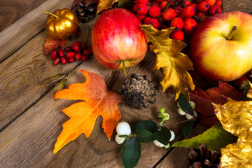 Naklejka na ściany i meble Thanksgiving background with apples, golden oak leaf