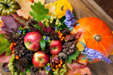 Ripe red apples, pumpkins, and blue flowers