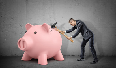 A frustrated businessman breaks his large hammer on a large solid piggy bank.