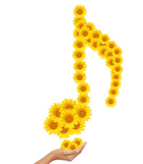 Hand idea with sunflower music notes image isolate on white