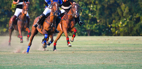 The horse polo player are ridding
