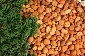 Pebbles and Grass background5