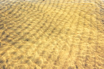 Sand pattern on the shallow sea bottom, Baltic sea coast