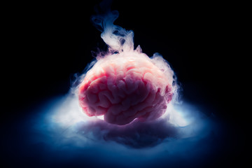 Frozen brain on a dark background / high contrast image