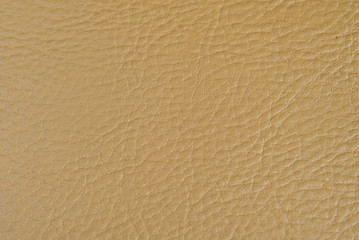 Texture of skin of animal yellow color.