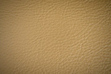 Texture of skin of animal yellow color with blackout at the edges