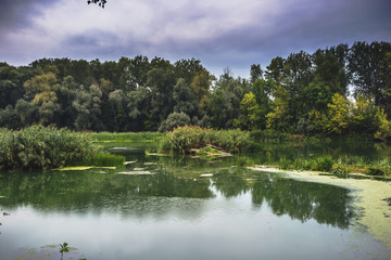 Calm river in the summer morning with green trees on background. Toned, style photo.