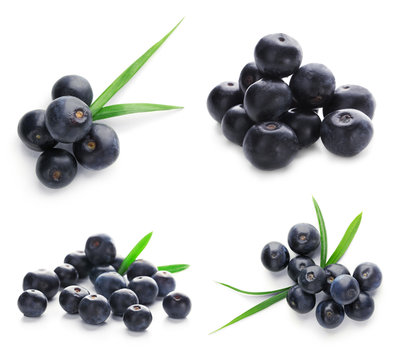 Collage of acai berries on white background