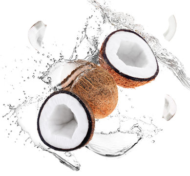 Coconuts and water splashes on white background