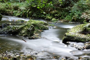 Obraz premium herbstrauschen am pöhlbach