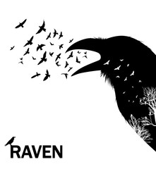Croaking crow or raven. Illustration with double exposure effect.