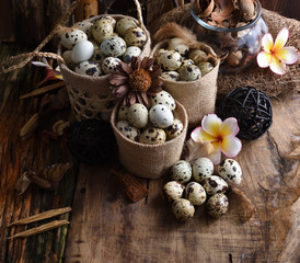 Fototapeta na wymiar studio shot of quail eggs on a vintage wooden background.