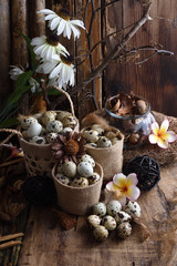 studio shot of quail eggs on a vintage wooden background.