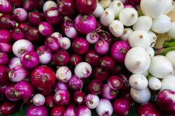 A bunch of rd onion