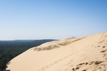 Dune du Pyla (Bassin d'Arcachon, France)