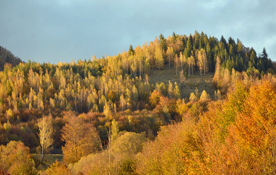 Colorful autumn landscape
