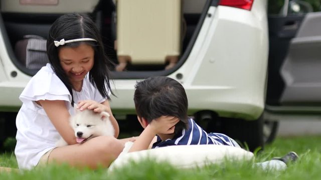 Asian children playing with siberian husky puppy in the park 4k 8