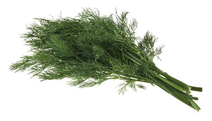 dill isolated on white background closeup