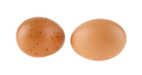 chicken eggs isolated on white background closeup