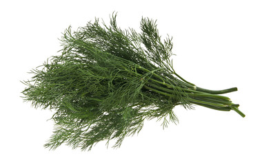 dill isolated on white background closeup