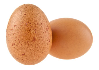 chicken eggs isolated on white background closeup