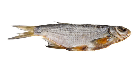 dried fish isolated on a white background