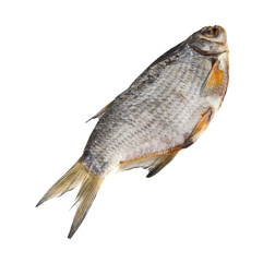 dried fish isolated on a white background