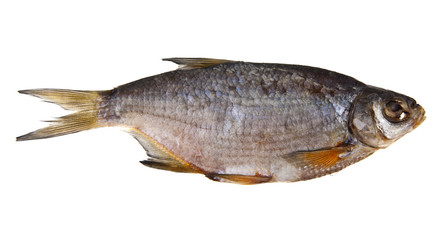 dried fish isolated on a white background