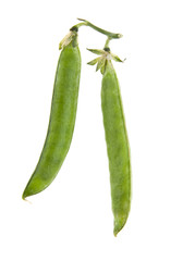 Peas isolated on white background