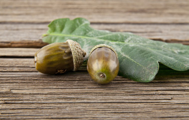 the acorns on the wooden table closeup
