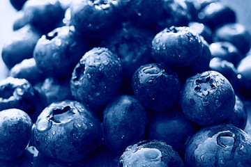 fresh berries blueberries close-up scattered black and white
