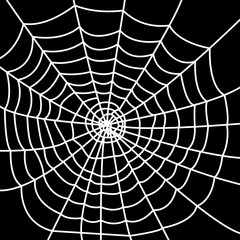 Obraz premium White spider web on dark background