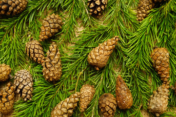Christmas background of pine cones 2