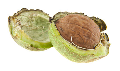 walnuts isolated on white background closeup