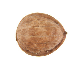 walnuts isolated on white background close-up