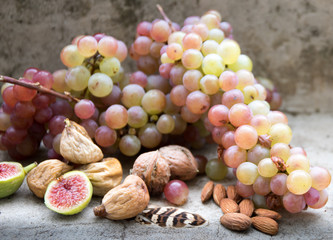 Organic Grapes, Figs, Almonds and Walnuts Still Life