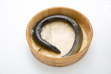 鰻