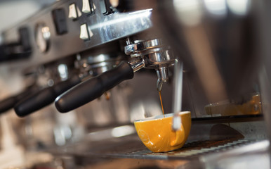 Barista making fresh coffee with machine