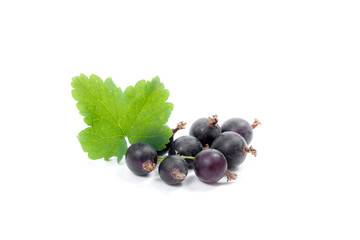 Black currant berry isolated on white. A bunch of black currant..