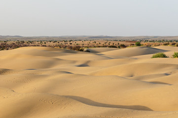 Thar desert in India, Sand dunes, Rajasthan