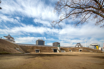 Obraz premium 宇都宮城址公園