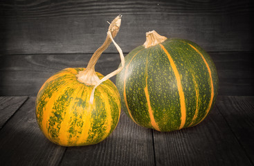 Two yellow and green striped pumpkins