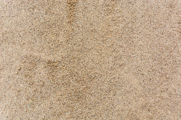 Sand as a background texture from above