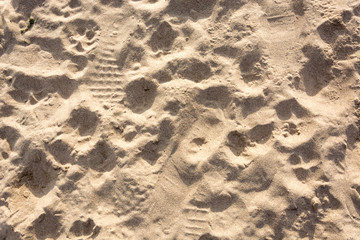 Sand texture as a background from above