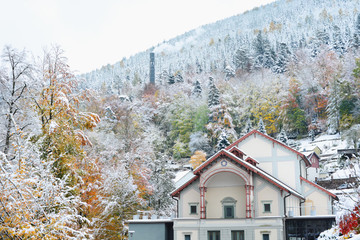 Fototapety na wymiar - Fototapeta24.pl