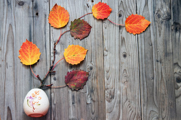 Autumn background with multi-colored leaves