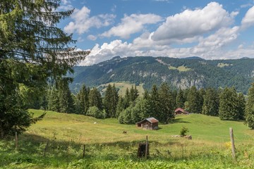 Fototapeta na wymiar Landschaft im Allgäu mit Blick auf die Berge, Deutschland
