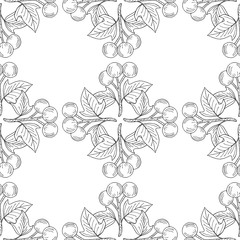 Kukui, liner, seamless 3